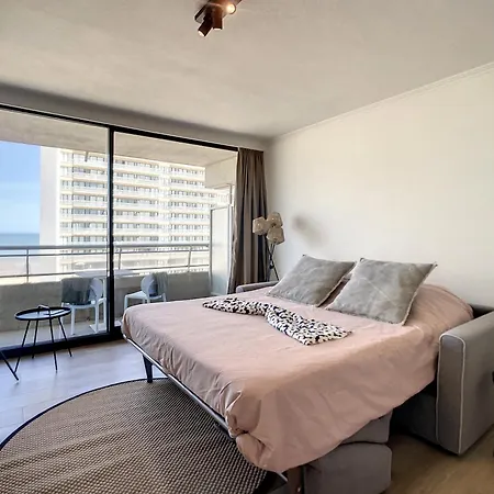 Royal Ascot R7 Met Terras En Zeezicht Op Toplocatie * Ostend