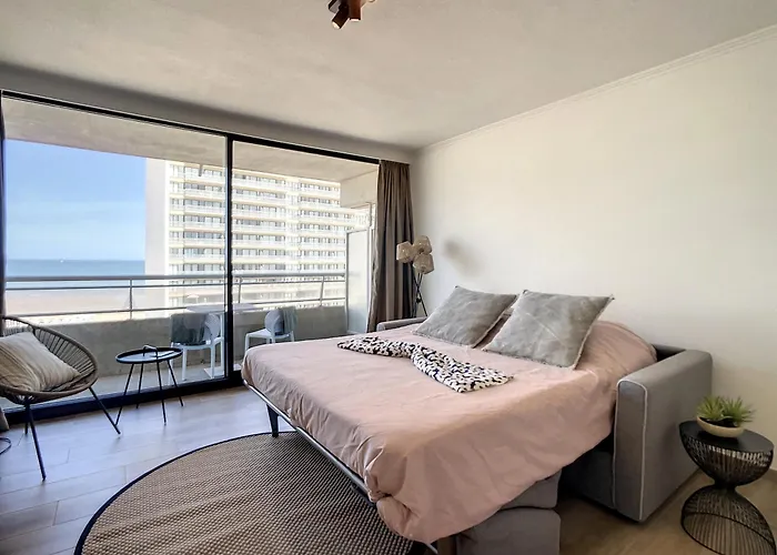 Royal Ascot R7 Met Terras En Zeezicht Op Toplocatie * Oostende